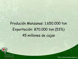 Produción Manzanas: 1.650.000 ton
 Exportación: 870.000 ton (53%)
       45 millones de cajas
 