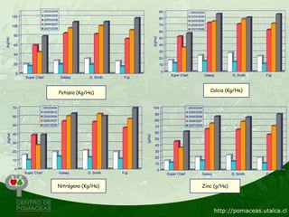 2003/2004                                                          90                    2003/2004
           120                 2004/2005                                                                                2004/2005
                               2005/2006                                                          80
                                                                                                                        2005/2006
                               2006/2007                                                          70                    2006/2007
           100
                               2007/2008                                                                                2007/2008
                                                                                                  60
            80




                                                                                    (kg/ha)
(kg/ha)




                                                                                                  50

            60                                                                                    40

                                                                                                  30
            40
                                                                                                  20
            20                                                                                    10

                                                                                                   0
             0                                                                                           Super Chief                Galaxy      G. Smith   Fuji
                 Super Chief                Galaxy      G. Smith    Fuji



                                           Potasio (Kg/Ha)                                                                             Calcio (Kg/Ha)


           70                  2003/2004                                            100                                2003/2004
                               2004/2005                                                                               2004/2005
                                                                                      90
           60                  2005/2006                                                                               2005/2006
                               2006/2007                                              80                               2006/2007
           50                  2007/2008                                                                               2007/2008
                                                                                      70
                                                                                      60
 (kg/ha)




           40



                                                                           (g/ha)
                                                                                      50
           30
                                                                                      40
           20                                                                         30
                                                                                      20
           10
                                                                                      10
            0                                                                                 0
                 Super Chief               Galaxy      G. Smith    Fuji                                Super Chief             Galaxy           G. Smith   Fuji


                                           Nitrógeno (Kg/Ha)                                                                   Zinc (g/Ha)
 