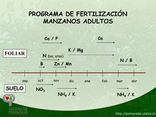 PROGRAMA DE FERTILIZACIÓN
               MANZANOS ADULTOS

                   Ca / P                       Ca

                                 K / Mg
FOLIAR         N    (aa; urea)
                                                        N / B
              B         Zn / Mn


     sep     oct       nov       dic      ene    feb   mar   abr

SUELO       NO3
                            NH4 / K                    NH4 / K
 