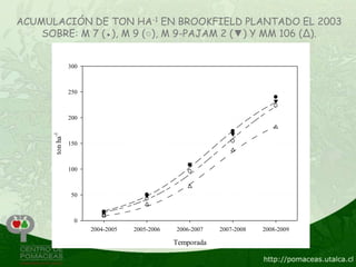 ACUMULACIÓN DE TON HA-1 EN BROOKFIELD PLANTADO EL 2003
    SOBRE: M 7 (●), M 9 (○), M 9-PAJAM 2 (▼) Y MM 106 (Δ).


                 300



                 250



                 200
      ton ha-1




                 150



                 100



                  50



                   0
                       2004-2005   2005-2006   2006-2007   2007-2008   2008-2009

                                               Temporada
 