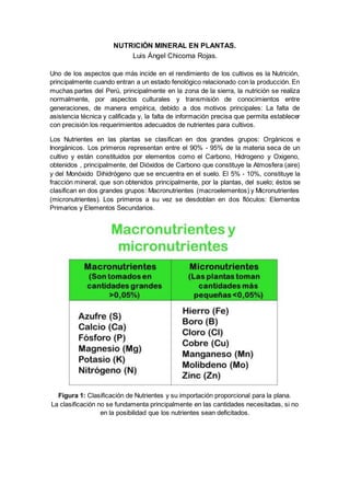 NUTRICIÓN MINERAL EN PLANTAS.
Luis Ángel Chicoma Rojas.
Uno de los aspectos que más incide en el rendimiento de los cultivos es la Nutrición,
principalmente cuando entran a un estado fenológico relacionado con la producción. En
muchas partes del Perú, principalmente en la zona de la sierra, la nutrición se realiza
normalmente, por aspectos culturales y transmisión de conocimientos entre
generaciones, de manera empírica, debido a dos motivos principales: La falta de
asistencia técnica y calificada y, la falta de información precisa que permita establecer
con precisión los requerimientos adecuados de nutrientes para cultivos.
Los Nutrientes en las plantas se clasifican en dos grandes grupos: Orgánicos e
Inorgánicos. Los primeros representan entre el 90% - 95% de la materia seca de un
cultivo y están constituidos por elementos como el Carbono, Hidrogeno y Oxigeno,
obtenidos , principalmente, del Dióxidos de Carbono que constituye la Atmosfera (aire)
y del Monóxido Dihidrógeno que se encuentra en el suelo. El 5% - 10%, constituye la
fracción mineral, que son obtenidos principalmente, por la plantas, del suelo; éstos se
clasifican en dos grandes grupos: Macronutrientes (macroelementos) y Micronutrientes
(micronutrientes). Los primeros a su vez se desdoblan en dos flóculos: Elementos
Primarios y Elementos Secundarios.
Figura 1: Clasificación de Nutrientes y su importación proporcional para la plana.
La clasificación no se fundamenta principalmente en las cantidades necesitadas, si no
en la posibilidad que los nutrientes sean deficitados.
 