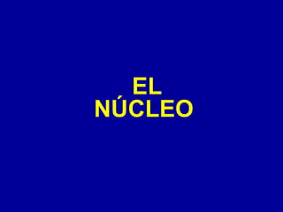 EL NÚCLEO 