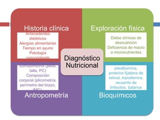 Historia clínica Exploración física 
Diagnóstico 
Nutricional 
Antecedentes 
dietéticos 
Alergias alimentarias 
Tiempo en ayuno 
Patología 
concomitante 
Datos clínicos de 
desnutrición 
Deficiencia de macro 
o micronutrientes 
Somatometría (peso, 
talla, PC) 
Composición 
corporal (plicometría, 
perímetro del brazo, 
IMC). 
Albúmina, 
prealbúmina, 
proteína fijadora de 
retinol, transferrina, 
recuento de 
linfocitos, balance 
nitrogenado 
Antropometría Bioquímicos 
 