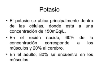 Potasio El potasio se ubica principalmente dentro de las células, donde está a una concentración de 150mEq/L. En el recién nacido, 60% de la concentración corresponde a los músculos y 20% al cerebro. En el adulto, 80% se encuentra en los músculos.  