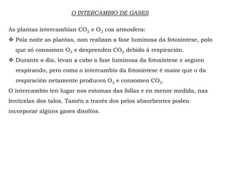 O INTERCAMBIO DE GASES
As plantas intercambian CO2 e O2 coa atmosfera:
Pola noite as plantas, non realizan a fase luminosa da fotosíntese, polo
que só consomen O2 e desprenden CO2 debido á respiración.
Durante o día, levan a cabo a fase luminosa da fotosíntese e seguen
respirando, pero como o intercambio da fotosíntese é maior que o da
respiración netamente producen O2 e consomen CO2.
O intercambio ten lugar nos estomas das follas e en menor medida, nas
lenticelas dos talos. Tamén a través dos pelos absorbentes poden
incorporar algúns gases disoltos.
 
