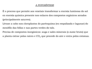 A FOTOSÍNTESE
É o proceso que permite aos vexetais transformar a enerxía luminosa do sol
en enerxía química presente nos enlaces dos compostos orgánicos xerados
(principalmente azucres).
Lévase a cabo nos cloroplastos do parénquima (en empalizada e lagunar) do
mesófilo das follas e nas partes verdes do talo.
Precisa de compostos inorgánicos: auga e sales minerais (o zume bruto) que
a planta extrae polas raíces e CO2 que procede do aire e entra polos estomas.
 