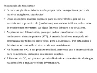 Importancia da fotosíntese
Permite as plantas elaborar a súa propia materia orgánica a partir da
materia inorgánica. (Autótrofos)
Deixa dispoñible materia orgánica para os heterótrofos, por iso os
vexetais son o primeiro elo (produtores) nas cadeas tróficas, sobre todo de
ecosistemas terrestres. As algas fan esta laboura nos acuáticos.
As plantas son fotoautrófos, polo que poden transformar enerxía
luminosa en enerxía química (ATP). A enerxía luminosa non pode ser
empregada por todos os seres vivos, pero a química si. Por esta razón a
fotosíntese orixina o fluxo de enerxía nos ecosistemas.
Na fotosíntese o O2 é un produto residual, pero este gas é imprescindible
para os aerobios, incluíndo aos propios vexetais.
A fixación de CO2 no proceso permite diminuír a concentración deste gas
na atmosfera e regular o efecto invernadoiro.
 