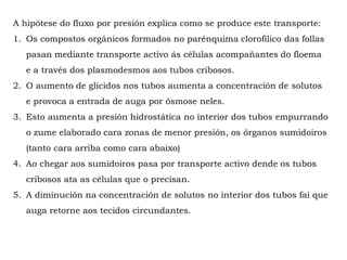 A hipótese do fluxo por presión explica como se produce este transporte:
1.Os compostos orgánicos formados no parénquima clorofílico das follas
pasan mediante transporte activo ás células acompañantes do floema e a
través dos plasmodesmos aos tubos cribosos.
2.O aumento de glícidos nos tubos aumenta a concentración de solutos e
provoca a entrada de auga por ósmose neles.
3.Esto aumenta a presión hidrostática no interior dos tubos empurrando
o zume elaborado cara zonas de menor presión, os órganos sumidoiros
(tanto cara arriba como cara abaixo)
4.Ao chegar aos sumidoiros pasa por transporte activo dende os tubos
cribosos ata as células que o precisan.
5.A diminución na concentración de solutos no interior dos tubos fai que
auga retorne aos tecidos circundantes.
 