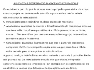 AS PLANTAS SINTETIZAN E ALMACENAN SUBSTANCIAS
Os nutrientes que chegan ás células son empregadas para obter materia e
enerxía propia. Ao conxunto de reaccións que suceden nunha célula
denominámoslle metabolismo.
O metabolismo pode escindirse en dous grupos de reaccións:
Anabolismo: reaccións de síntese e transformación de compostos sinxelos
a outros máis complexos que utilizará a célula para reparar, renovar,
crecer... Son reaccións que precisan enerxía.Neste grupo de reaccións
inclúese a propia fotosíntese.
Catabolismo: reaccións degradativas nas que a partir de compostos
complexos obtéñense compostos máis sinxelos que permiten a célula obter
enerxía para desempeñar as súas funcións.
A grosso modo, o metabolismo xeral en animais e vexetais é parecido. Porén
nas plantas hai un metabolismo secundario que orixina compostos
característicos; como os terpenoides ( un exemplo son os carotenoides), ou
os alcaloides (moitos son defensas e teñen aplicacións médicas).
 