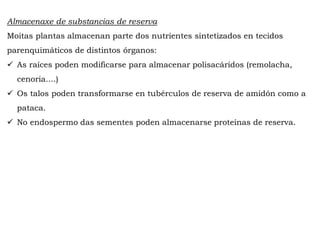Almacenaxe de substancias de reserva
Moitas plantas almacenan parte dos nutrientes sintetizados en tecidos
parenquimáticos de distintos órganos:
As raíces poden modificarse para almacenar polisacáridos (remolacha,
cenoria....)
Os talos poden transformarse en tubérculos de reserva de amidón como a
pataca.
No endospermo das sementes poden almacenarse proteínas de reserva.
 