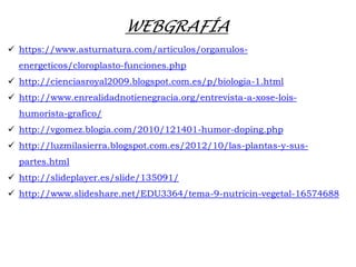 WEBGRAFÍA
https://www.asturnatura.com/articulos/organulos-
energeticos/cloroplasto-funciones.php
http://cienciasroyal2009.blogspot.com.es/p/biologia-1.html
http://www.enrealidadnotienegracia.org/entrevista-a-xose-lois-
humorista-grafico/
http://vgomez.blogia.com/2010/121401-humor-doping.php
http://luzmilasierra.blogspot.com.es/2012/10/las-plantas-y-sus-
partes.html
http://slideplayer.es/slide/135091/
http://www.slideshare.net/EDU3364/tema-9-nutricin-vegetal-16574688
 