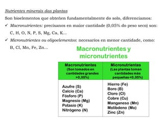 Nutrientes minerais das plantas
Son bioelementos que obteñen fundamentalmente do solo, diferenciamos:
Macronutrientes: precísanos en maior cantidade (0,05% do peso seco) son:
C, H, O, N, P, S, Mg, Ca, K...
Micronutrientes ou oligoelementos: necesarios en menor cantidade, como:
B, Cl, Mn, Fe, Zn...
 
