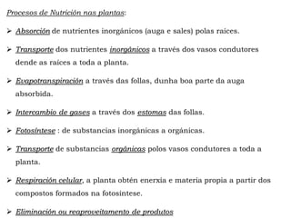 Procesos de Nutrición nas plantas:
Absorción de nutrientes inorgánicos (auga e sales) polas raíces.
Transporte dos nutrientes inorgánicos a través dos vasos condutores dende
as raíces a toda a planta.
Evapotranspiración a través das follas, dunha boa parte da auga
absorbida.
Intercambio de gases a través dos estomas das follas.
Fotosíntese : de substancias inorgánicas a orgánicas.
Transporte de substancias orgánicas polos vasos condutores a toda a
planta.
Respiración celular, a planta obtén enerxía e materia propia a partir dos
compostos formados na fotosíntese.
Eliminación ou reaproveitamento de produtos
 