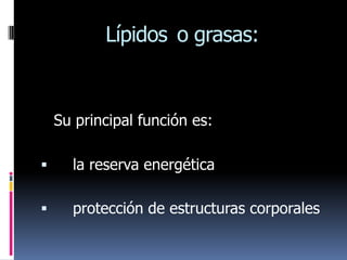 Lípidos o grasas:


    Su principal función es:

     la reserva energética

     protección de estructuras corporales
 
