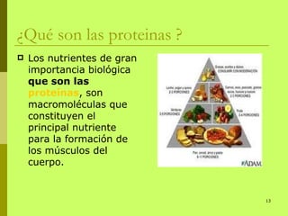 ¿Qué son las proteinas ?  <ul><li>Los nutrientes de gran importancia biológica  que son las  proteínas , son macromolécula...