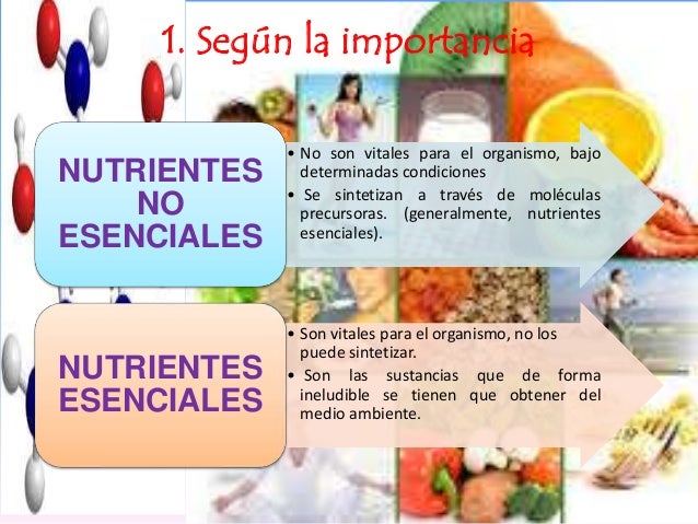 Nutrición y alimentación en la Primera Infancia por Katherine Guaita