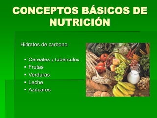 CONCEPTOS BÁSICOS DE
NUTRICIÓN
Hidratos de carbono
 Cereales y tubérculos
 Frutas
 Verduras
 Leche
 Azúcares
 