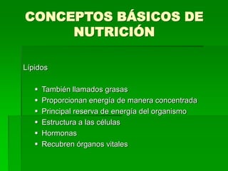 CONCEPTOS BÁSICOS DE
NUTRICIÓN
Lípidos
 También llamados grasas
 Proporcionan energía de manera concentrada
 Principal reserva de energía del organismo
 Estructura a las células
 Hormonas
 Recubren órganos vitales
 