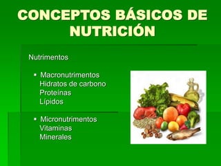 CONCEPTOS BÁSICOS DE
NUTRICIÓN
Nutrimentos
 Macronutrimentos
Hidratos de carbono
Proteínas
Lípidos
 Micronutrimentos
Vitaminas
Minerales
 
