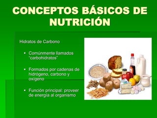 CONCEPTOS BÁSICOS DE
NUTRICIÓN
Hidratos de Carbono
 Comúnmente llamados
“carbohidratos”
 Formados por cadenas de
hidrógeno, carbono y
oxígeno
 Función principal: proveer
de energía al organismo
 
