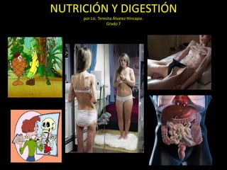 NUTRICIÓN Y DIGESTIÓN
     por Lic. Teresita Álvarez Hincapie.
                   Grado 7
 