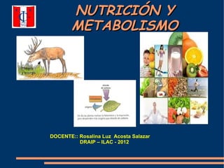 NUTRICIÓN Y
        METABOLISMO




DOCENTE:: Rosalina Luz Acosta Salazar
          DRAIP – ILAC - 2012
 