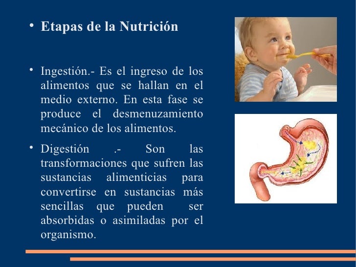 Nutrición y metabolismo