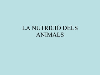 LA NUTRICIÓ DELS ANIMALS 