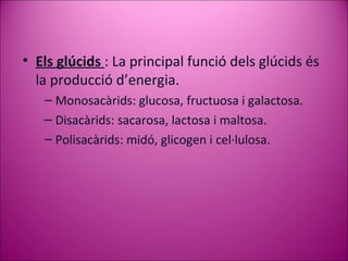 Els glúcids  : La principal funció dels glúcids és la producció d’energia. Monosacàrids: glucosa, fructuosa i galactosa. Disacàrids: sacarosa, lactosa i maltosa. Polisacàrids: midó, glicogen i cel·lulosa. 