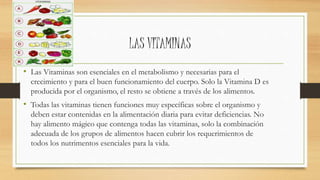 LAS VITAMINAS
• Las Vitaminas son esenciales en el metabolismo y necesarias para el
crecimiento y para el buen funcionamiento del cuerpo. Solo la Vitamina D es
producida por el organismo, el resto se obtiene a través de los alimentos.
• Todas las vitaminas tienen funciones muy específicas sobre el organismo y
deben estar contenidas en la alimentación diaria para evitar deficiencias. No
hay alimento mágico que contenga todas las vitaminas, solo la combinación
adecuada de los grupos de alimentos hacen cubrir los requerimientos de
todos los nutrimentos esenciales para la vida.
 