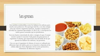 Las grasas
Son también combustibles, como los hidratos de carbono, pero
mucho más poderosos. Nos protegen del frío y nos dan energía
para que nuestro organismo funcione. Ayudan a transportar y
absorber las vitaminas liposolubles (A, D, E, K) y a incorporar los
ácidos grasos esenciales que no producimos.
Son una fuente concentrada de calor y energía a la que el cuerpo
recurre cuando lo necesita. Cada gramo de grasa provee al
organismo 9 calorías, que representan más del doble de las que
aportan los hidratos de carbono y las proteínas.
Una vez que el organismo la obtiene, el exceso es utilizado por
diferentes tipos de tejidos, pero en su mayoría se deposita en las
células adiposas. Estos depósitos sirven como protección y
aislamiento de diferentes órganos.
 