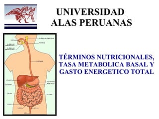 TÉRMINOS NUTRICIONALES, TASA METABOLICA BASAL Y GASTO ENERGETICO TOTAL UNIVERSIDAD  ALAS PERUANAS 