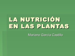 LA NUTRICIÓNLA NUTRICIÓN
EN LAS PLANTASEN LAS PLANTAS
Mariano García CastilloMariano García Castillo
 