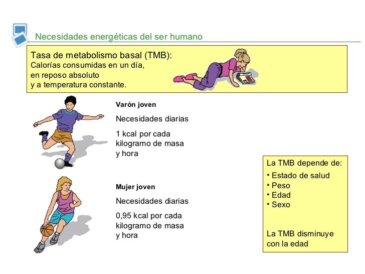 Nutrición