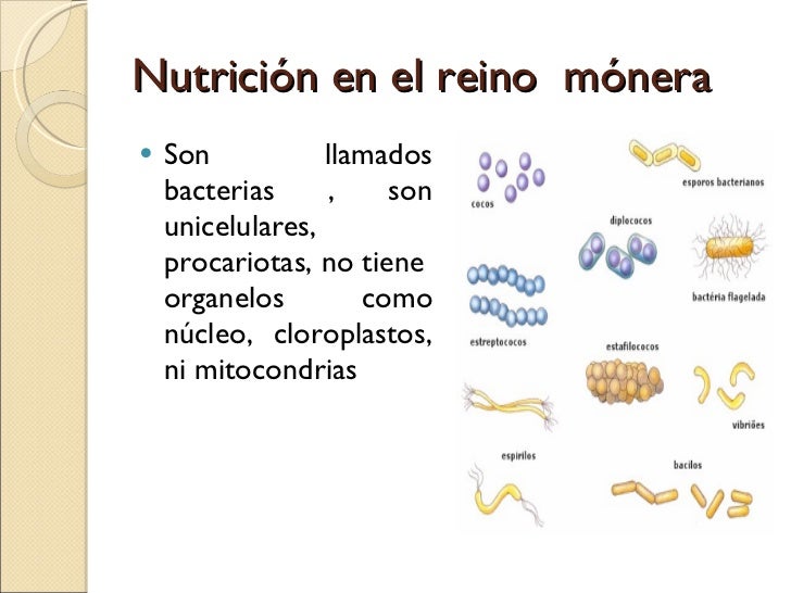 Nutricion