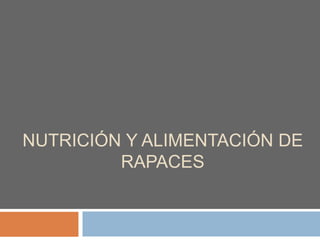 NUTRICIÓN Y ALIMENTACIÓN DE
         RAPACES
 