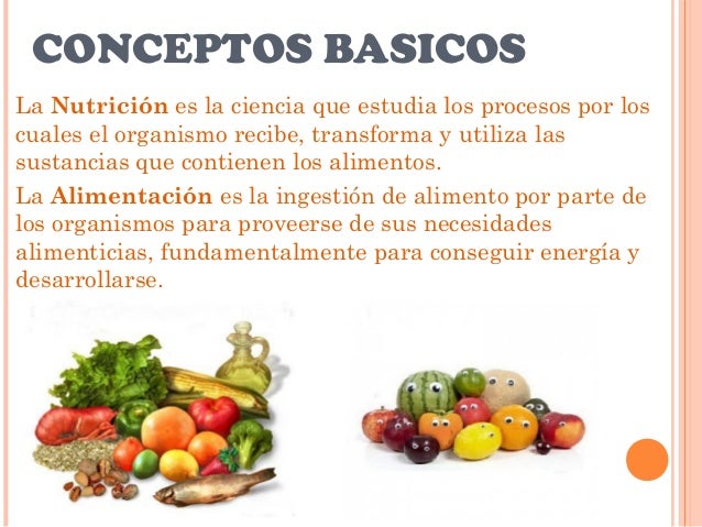 Nutricion