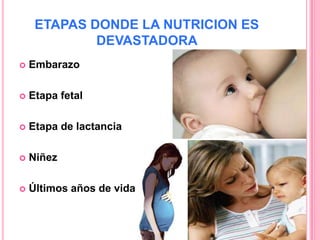 ETAPAS DONDE LA NUTRICION ES
             DEVASTADORA
   Embarazo

   Etapa fetal

   Etapa de lactancia

   Niñez

   Últimos años de vida
 