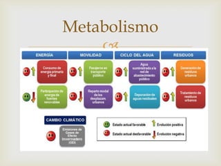 
Metabolismo
 