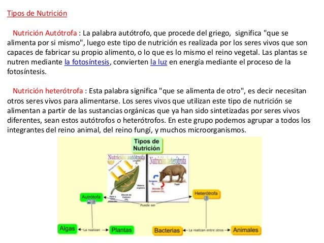 Nutricion