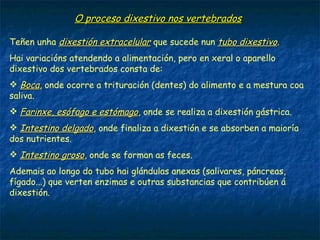 O proceso dixestivo dalgúns invertebrados
 As esponxas son filtradoras : fan pasar correntes de auga con
partículas de alimento a través de poros das paredes do seu
corpo. Nestes condutos atópanse os coanocitos que recollen as
partículas alimenticias e fan unha dixestión intracelular.
 Os celentéreos (medusas e pólipos) capturan presas vivas cos
tentáculos provistos de células con veleno (cnidoblastos) que
rodean a súa boca. A presa é introducida pola boca/ano cara a
cavidade gastrovascular. A dixestión é extracelular.
Esponxa Celentéreos- Medusas e pólipos
 
