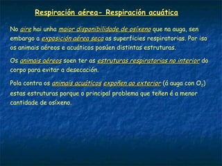 O proceso dixestivo nos vertebrados
 