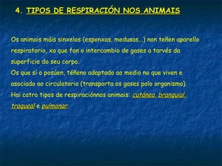 3. A RESPIRACIÓN NOS ANIMAIS
Como xa vimos no tema anterior, o proceso de respiración celular que
sucede nas mitocondrias das células necesita osíxeno e produce dióxido
de carbono.
O O2 cóllese do exterior, e a súa vez, o CO2, que é unha substancia
tóxica para as células é expulsada fóra do organismo.
Este intercambio gasoso (entra O2 e sae CO2) lévase a cabo grazas ao
aparello respiratorio.
Hai moi distintos tipos de aparellos respiratorios, pero todos eles teñen
rexións nas que se produce este intercambio gasoso chamadas
superficies respiratorias.
Están superficies sempre cumpren que:
- Son delgadas.
- Están húmidas.
- Posúen numerosos vasos sanguíneos.
Todo elo para facilitar o intercambio de gases.
 