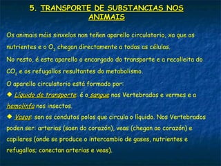 Nos anfibios os pulmóns son bolsas ocas; combinan esta respiración
coa cutánea.
En réptiles os pulmóns xa teñen maior superficie.
En aves posúen unhas prolongacións chamadas sacos aéreos que
aumentan motísimo esta superficie.
Nos mamíferos están recheos de numerosos sacos denominados
alvéolos xerando tamén moitísima superficie para o intercambio de
gases.
4. TIPOS DE RESPIRACIÓN NOS ANIMAIS
 