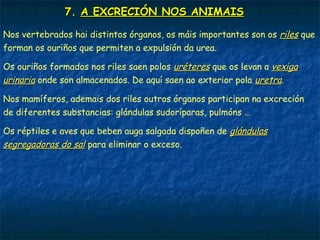 7. A EXCRECIÓN NOS ANIMAIS
O metabolismo celular orixina substancias de refugallo que son tóxicas e
deben ser expulsadas fóra do organismo. Son substancias como o CO2, o
amoníaco ou a urea.
O CO2 elimínase a través do respiratorio; o resto de refugallos son
expulsados mediante o aparello excretor.
A excreción é o proceso polo que se recollen e se eliminan os refugallos
procedentes do metabolismo.
Nos animais máis sinxelos (esponxas e celentéreos) non hai aparello
excretor e verten directamente ao medio a través da superficie do seu
corpo.
Nos insectos teñen uns tubos (túbulos de Malpighi) que verten ao intestino
os refugallos.
Nos crustáceos hai unhas glándulas (glándulas verdes) na base das antenas
polas que os expulsan.
 