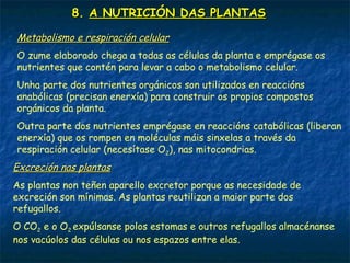 8. A NUTRICIÓN DAS PLANTAS
Intercambio de gases
Para realizar a fotosíntese precísase CO2 e prodúcese O2 que en parte é
requerido na respiración e en parte libérase ao medio. Este intercambio
de gases lévase a cabo a través dos estomas (unhas estruturas formadas
principalmente por dúas células en forma de ril que deixan entre elas un
orificio).
 