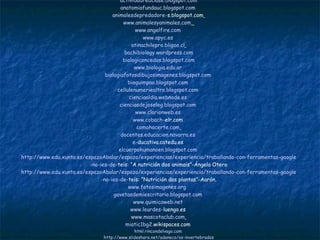 8. A NUTRICIÓN DAS PLANTAS
Metabolismo e respiración celular
O zume elaborado chega a todas as células da planta, os nutrientes que
contén utilízanse en levar a cabo o metabolismo celular.
Unha parte dos nutrientes orgánicos son utilizados en reaccións
anabólicas (precisan enerxía) para construir os propios compostos
orgánicos da planta.
Outra parte dos nutrientes empréganse en reaccións catabólicas
(liberan enerxía) que os rompen en moléculas máis sinxelas a través da
respiración celular (necesítase O2), nas mitocondrias.
Excreción nas plantas
As plantas non teñen aparello excretor porque as necesidades de
excreción son mínimas. As plantas reutilizan a maior parte dos
refugallos.
O CO2 e o O2 expúlsanse polos estomas e outros refugallos almacénanse
nos vacúolos das células ou nos espazos entre elas.
 