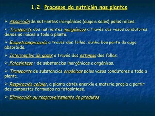 1.2. Procesos da nutrición nas plantas
 Absorción de nutrientes inorgánicos (auga e sales) polas raíces.
 Transporte dos nutrientes inorgánicos a través dos vasos condutores
dende as raíces a toda a planta.
 Evapotranspiración a través das follas, dunha boa parte da auga
absorbida.
 Intercambio de gases a través dos estomas das follas.
 Fotosíntese : de substancias inorgánicas a orgánicas.
 Transporte de substancias orgánicas polos vasos condutores a toda a
planta.
 Respiración celular, a planta obtén enerxía e materia propia a partir
dos compostos formados na fotosíntese.
 Eliminación ou reaproveitamento de produtos
 