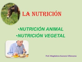 LA NUTRICIÓN
•NUTRICIÓN ANIMAL
•NUTRICIÓN VEGETAL
Prof. Magdalena Guevara Villanueva
 
