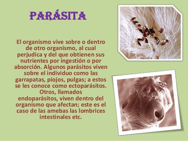 Nutricion